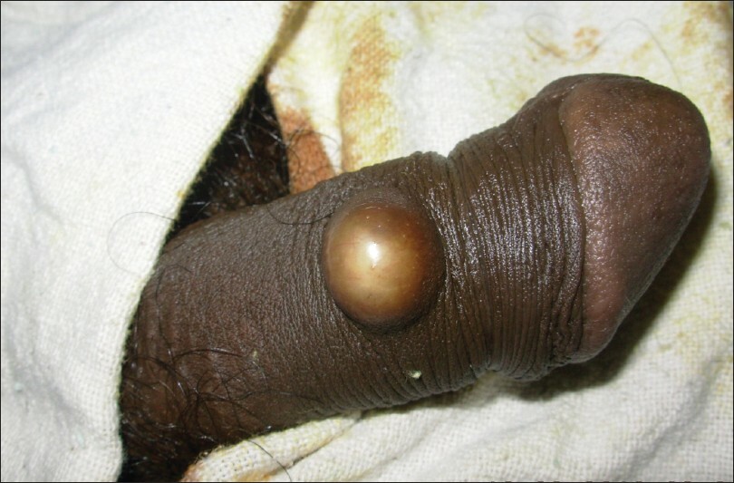Butt Pirate of the Caribbean Black Pearl