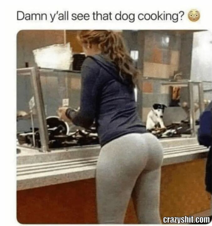 Omg A Cooking Dog