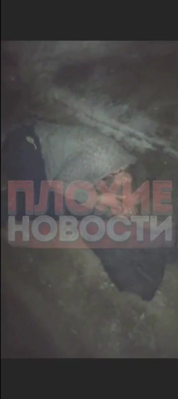 CrazyShit.com | Scumbags beat random homeless man to death - Crazy Shit
