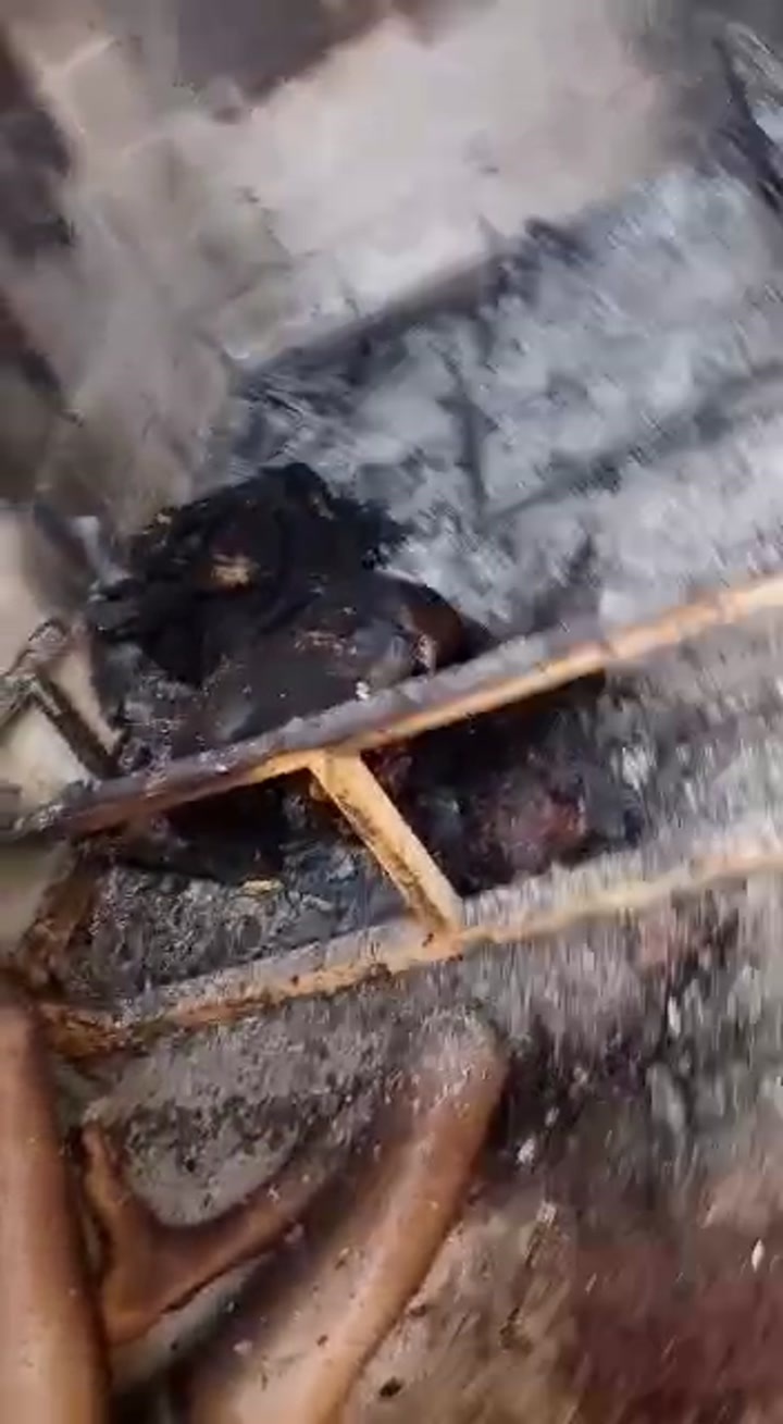 CrazyShit.com | Homosexual male murdered and burnt - Crazy Shit