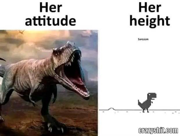 her attitude her height