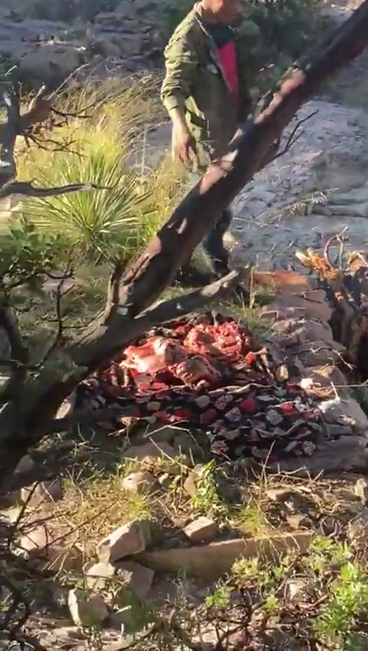 CrazyShit.com | Cartel BBQ