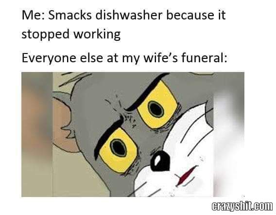 This Dishwasher Ain't Workin