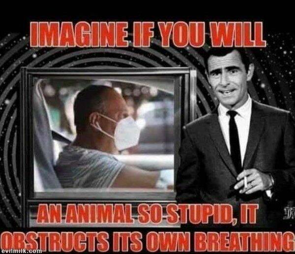 Imagine