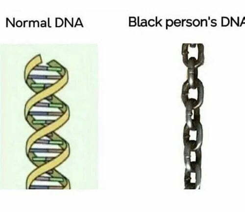DNA