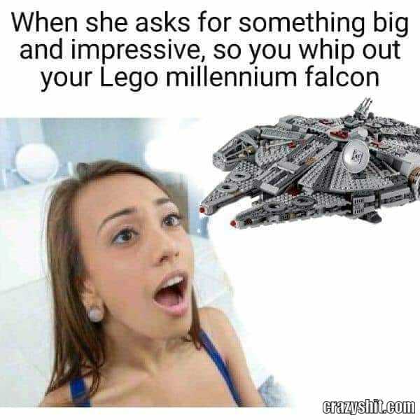 What A Huge Falcon