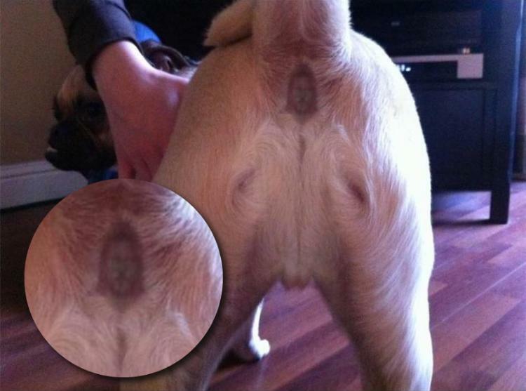 The Face Of Jesus