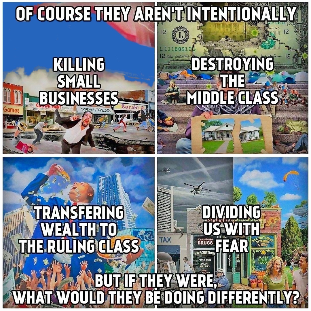 Democrats couldn't be doing a better job of destroying the USA if they tried. (wink-wink)