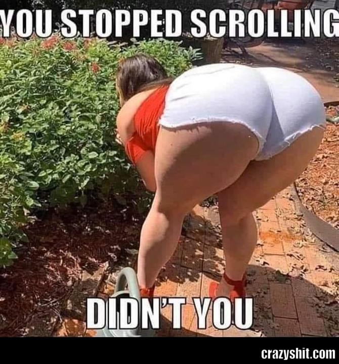Stop Scrolling