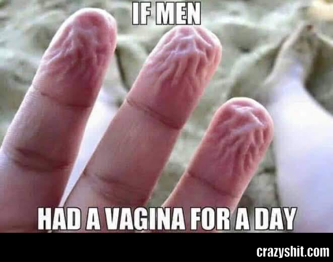 Vagina For A Day