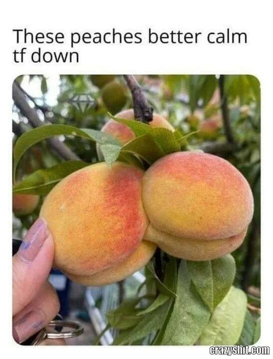 Naughty Peaches