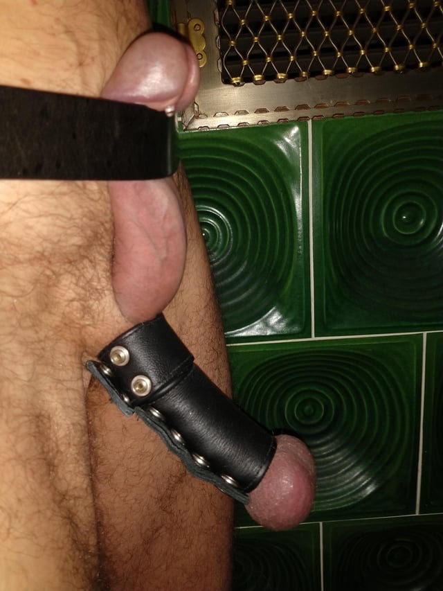 Cock Strapped…..