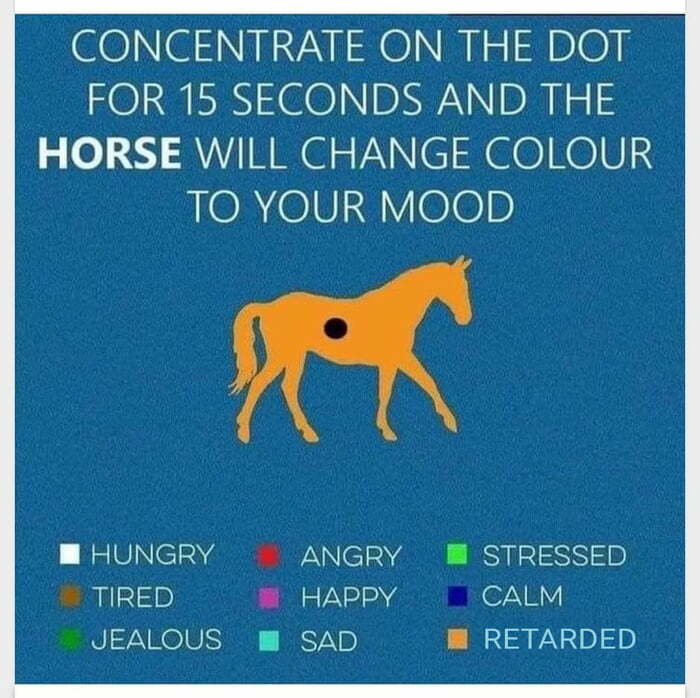 Mood Horse