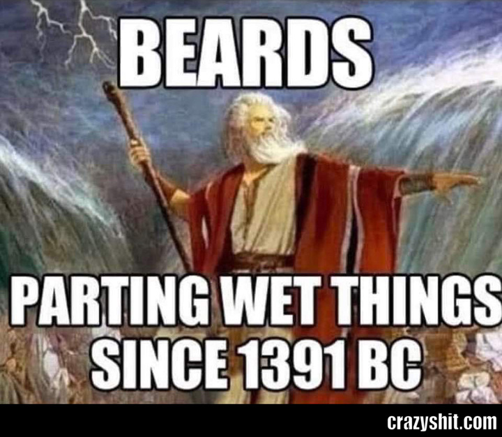 The Power Of The Beard