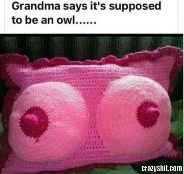 Yes It's Definitely An Owl