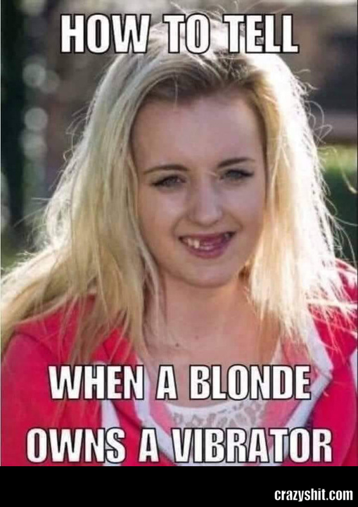 509px x 720px - CrazyShit.com | blonde memes - Crazy Shit