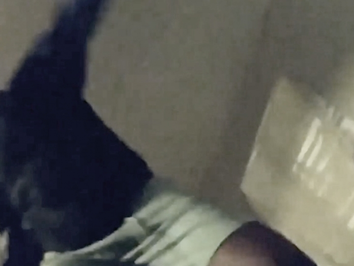 CrazyShit.com | P.O.V. BEATDOWN - Crazy Shit->