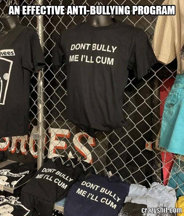 Successful Anti-bullying Program