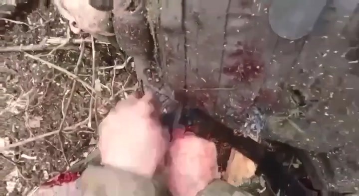 CrazyShit.com | Warning Gore war footage of ukraine army fail attack in artemovsk - Crazy Shit 