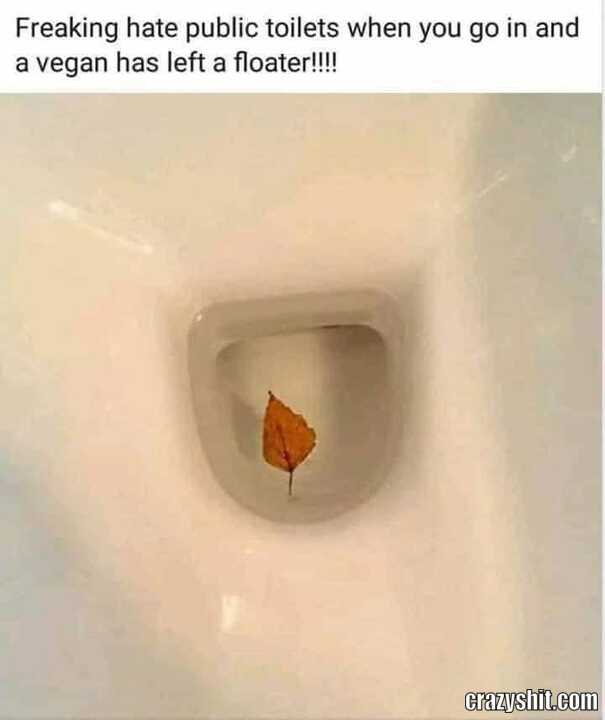 Another Vegan Floater