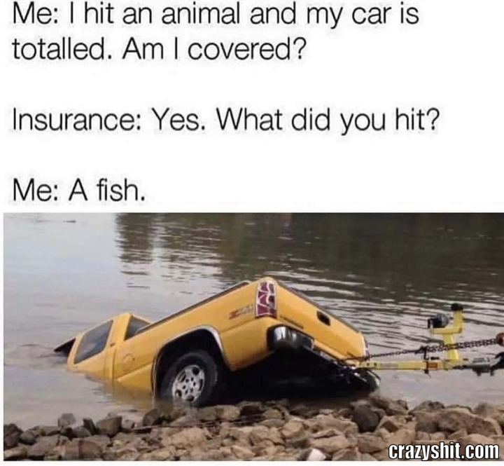 I Hit A Fish