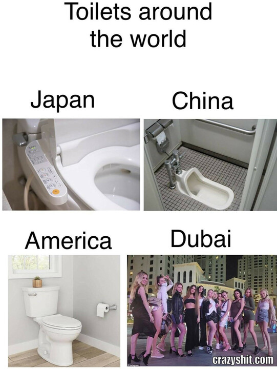 toilet around the world