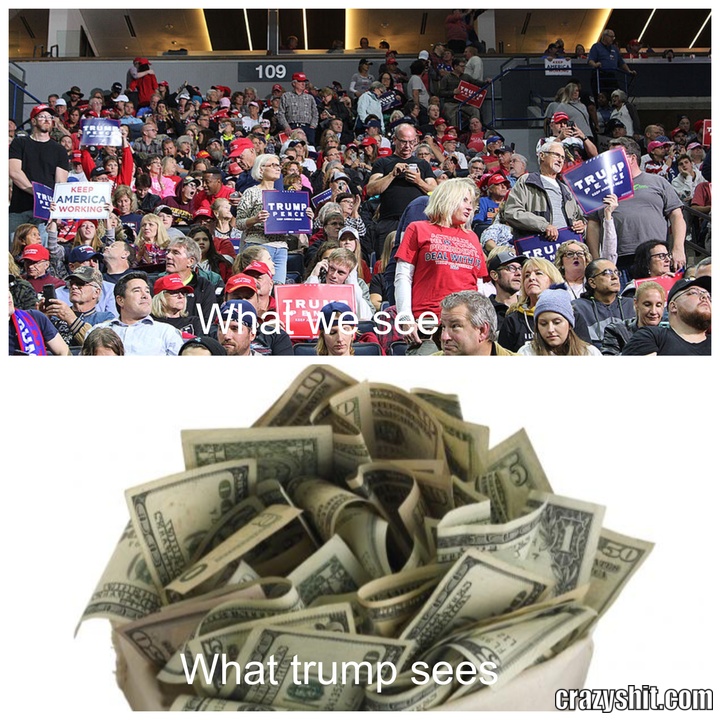 what we see/what trump sees