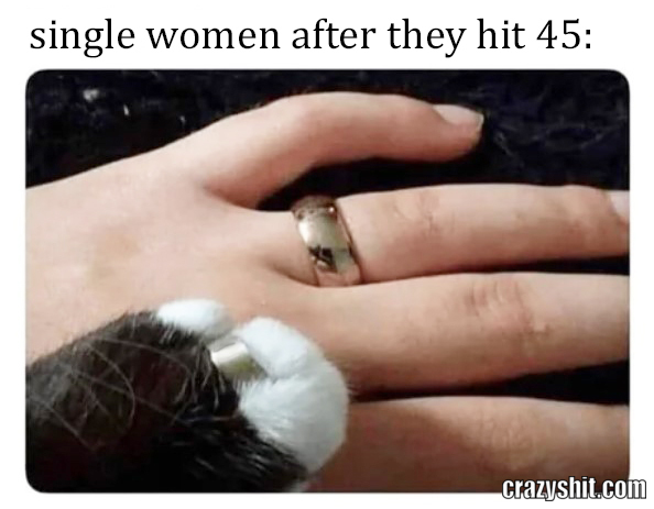 singel woman over 40