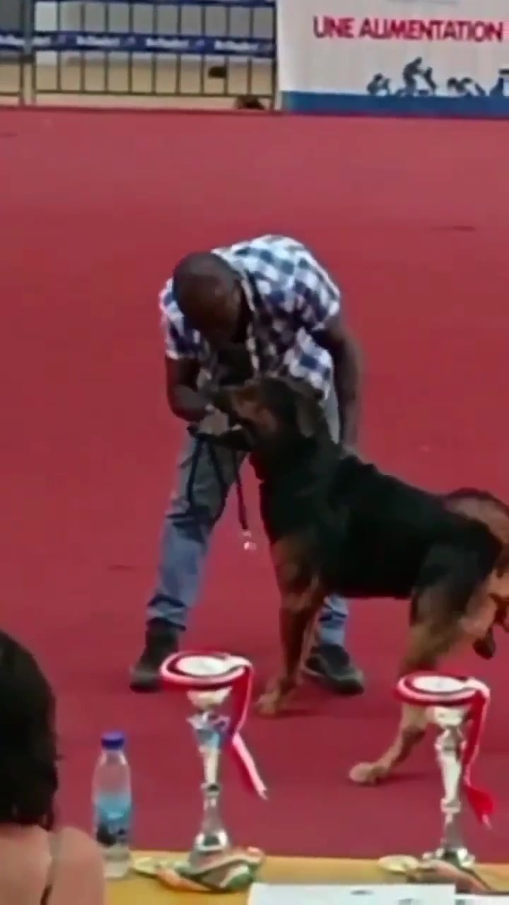 CrazyShit.com | Racist dog - Crazy Shit