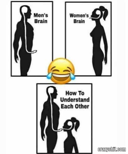 men brain/woman brain