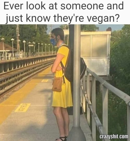 Definitely A Vegan