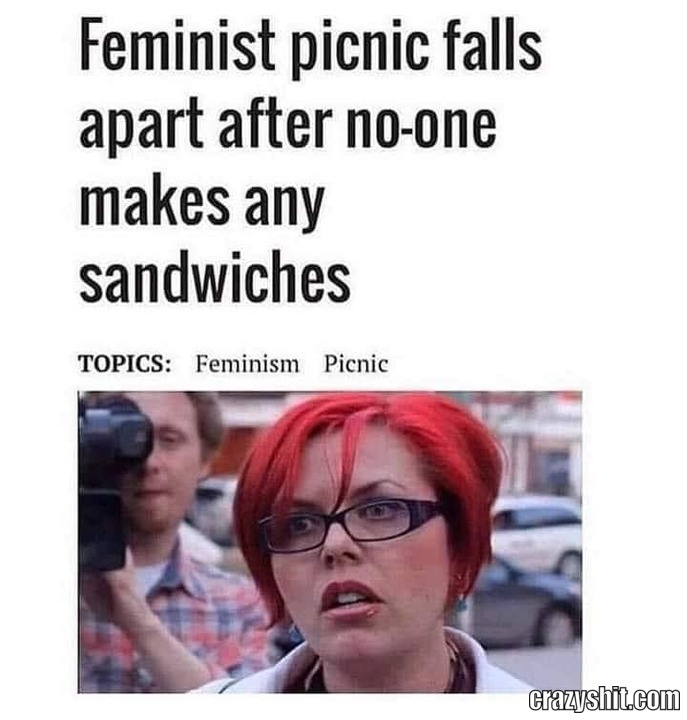 Picnic Is Ruined