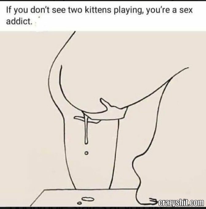 if you dont see 2 kittens fichting