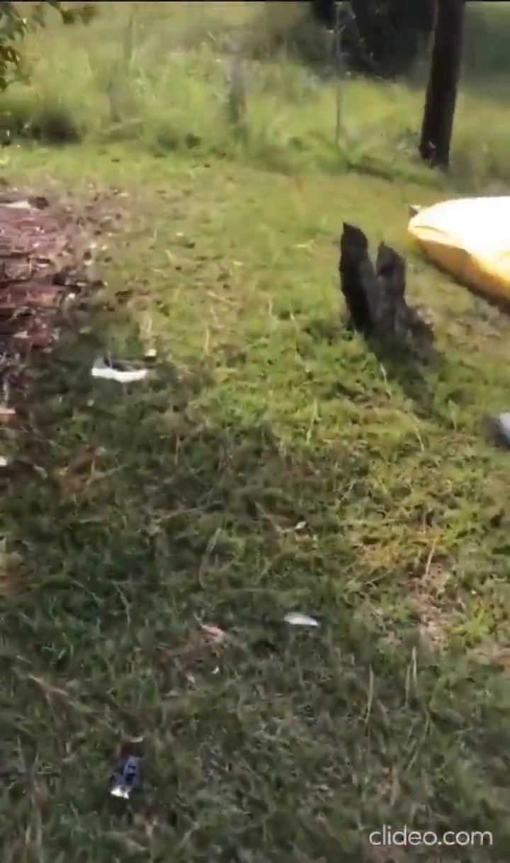 CrazyShit.com | Plane crash in Georgia - Crazy Shit
