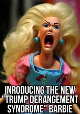 the new tds barbie