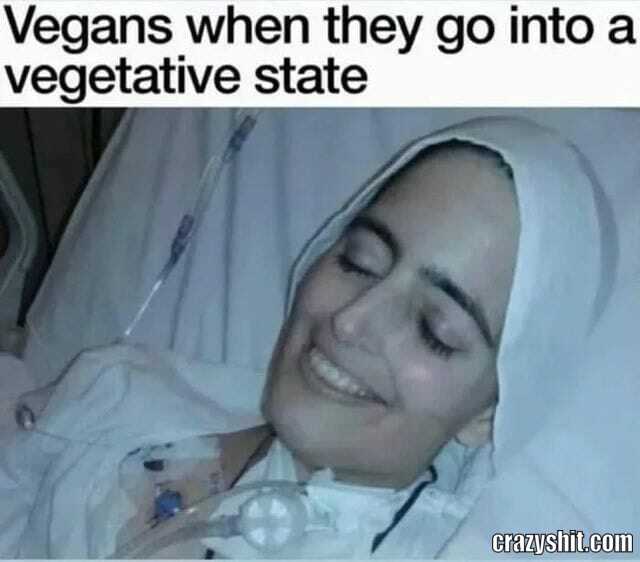 Every Vegan's Dream