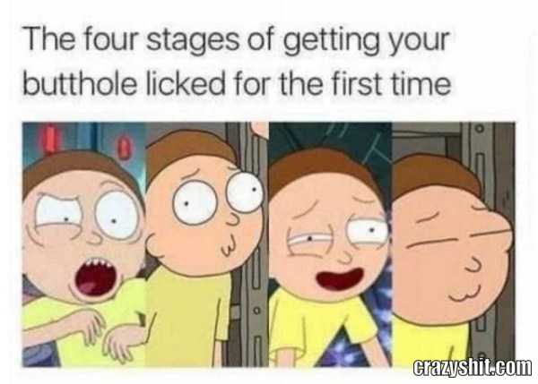 the 4 stages of