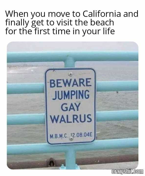 Beware The Gay Walrus