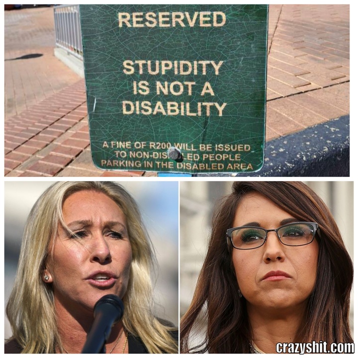 stupidity is not a handicap
