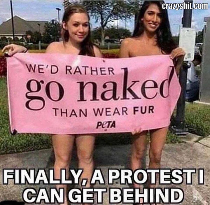 That's What I Call A Protest