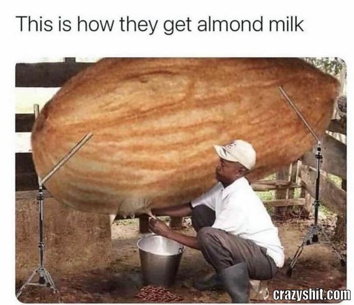 Milking The Almond