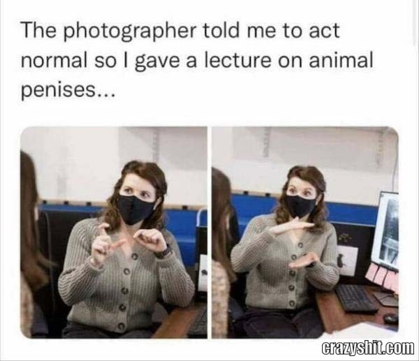 An Animal Lecture