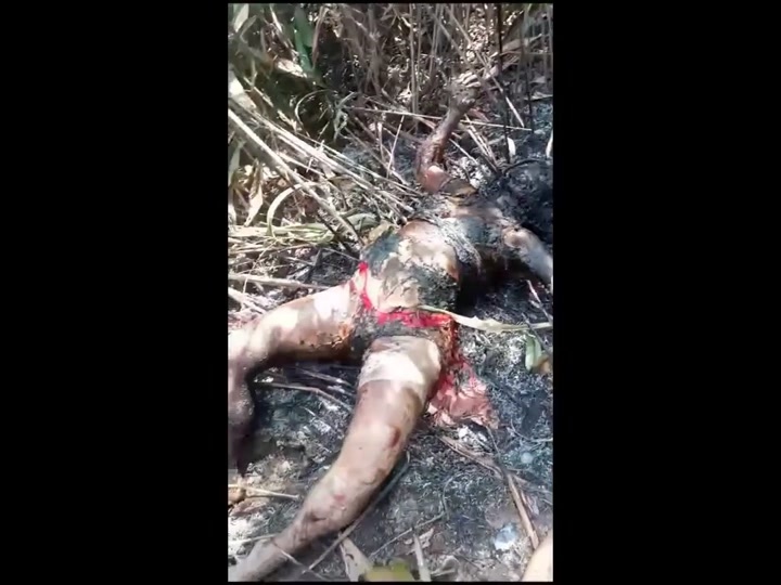CrazyShit.com | Woman killed and burned - Crazy Shit
