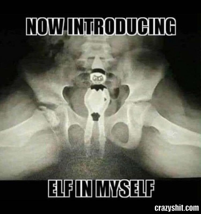 Elf In Myself