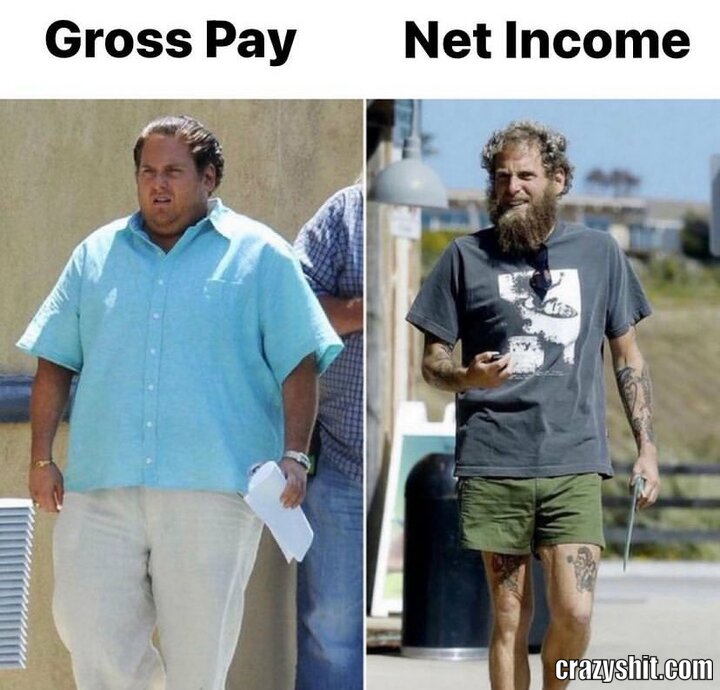 gross pay /net income