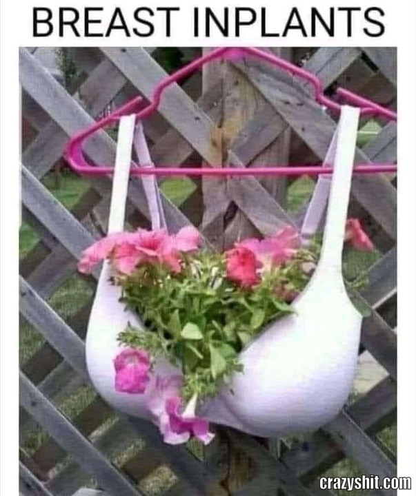 Breast In Plants