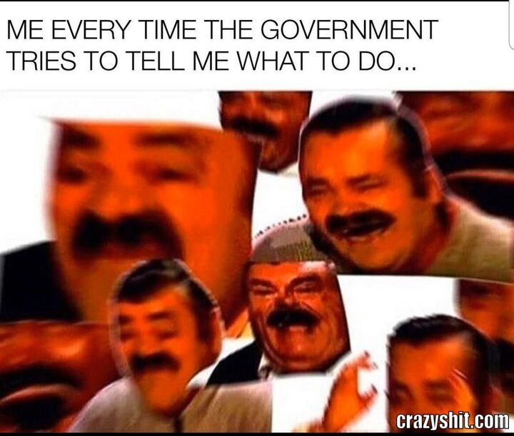 when the goverment