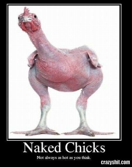 naked chicks