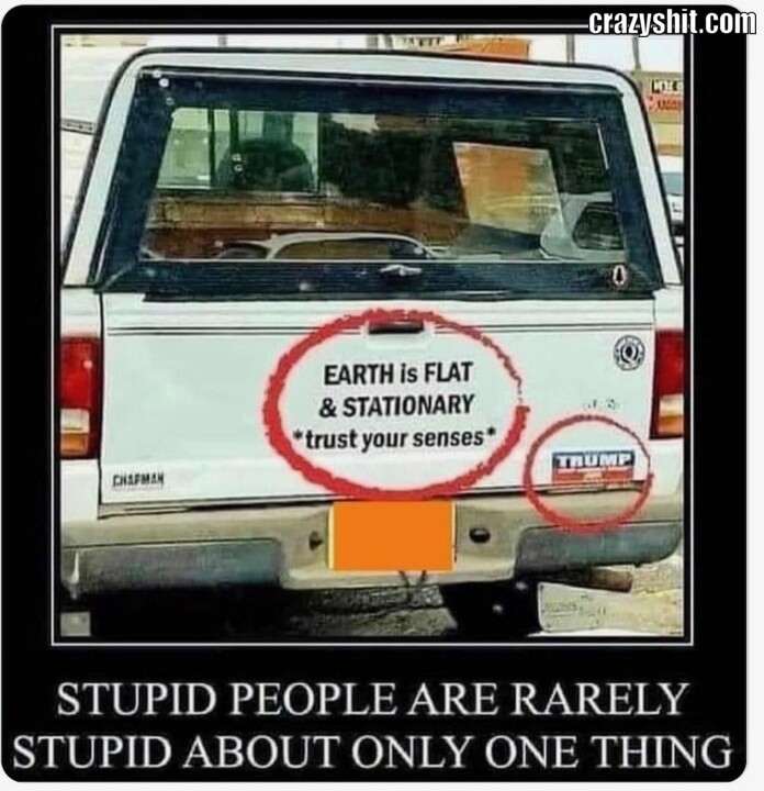 Stupid people