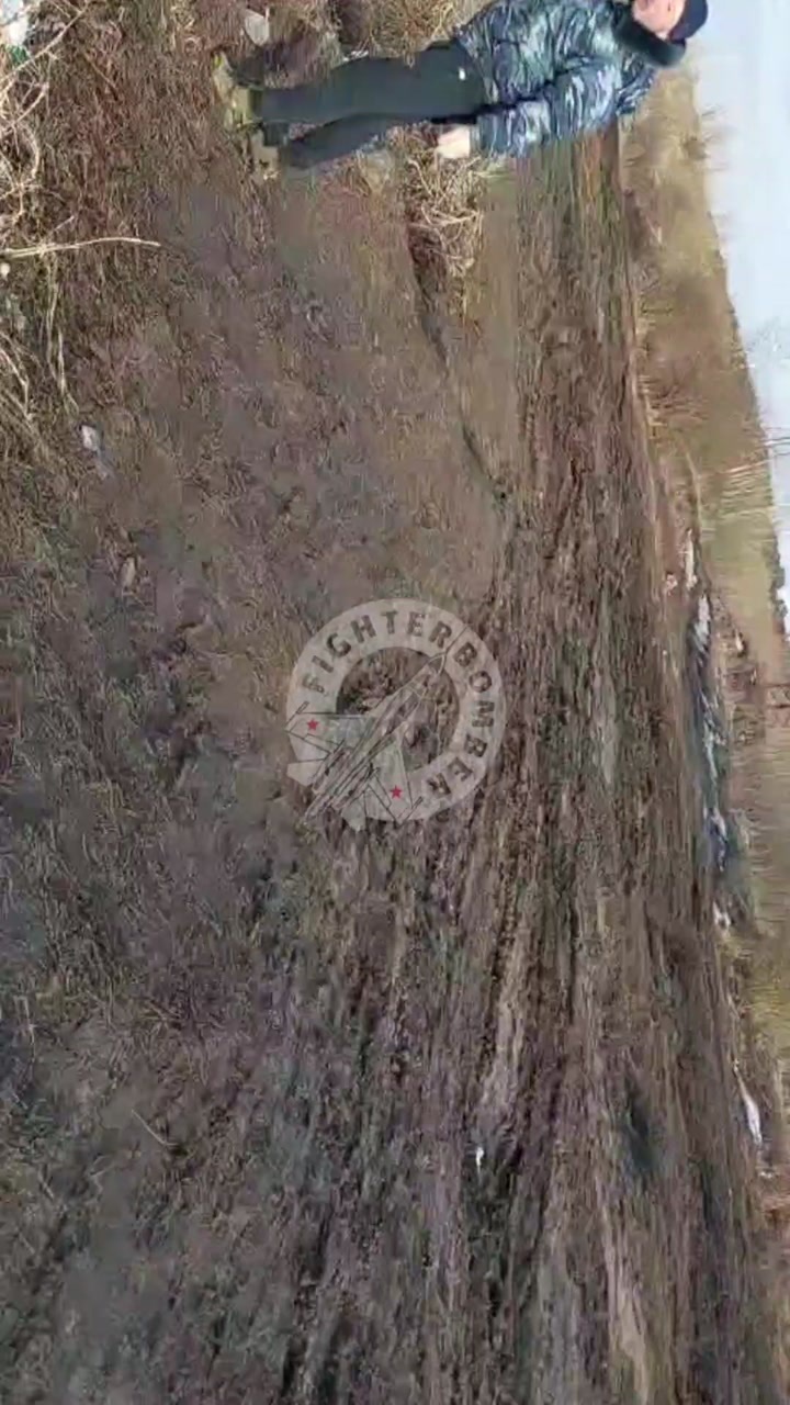 CrazyShit.com | That'll scare the fish away - Crazy Shit